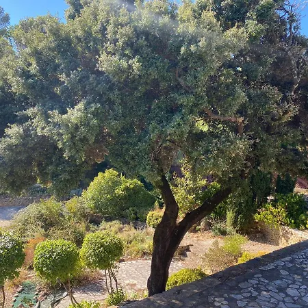 Villa En Provence, Le 89 - 10 Personnes Bagnols-sur-Ceze