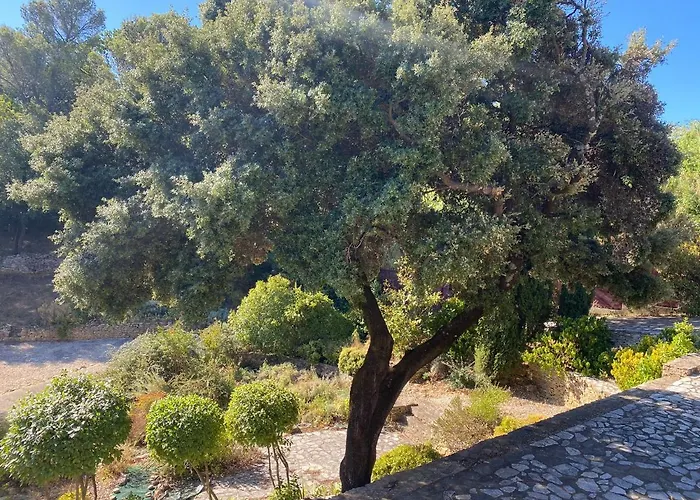 Villa En Provence, Le 89 - 8 Personnes Bagnols-sur-Cèze